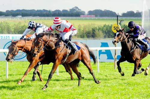 Mrs Mac Veale, red and white, swoops in Limerick