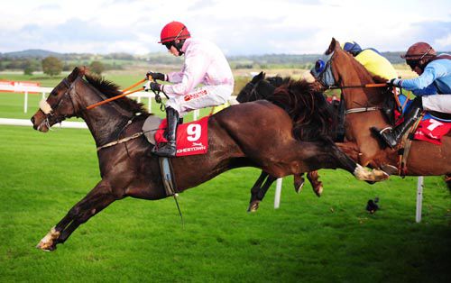 King Vuvuzela on his way to beating Black Benny and Friendly Society at Punchestown