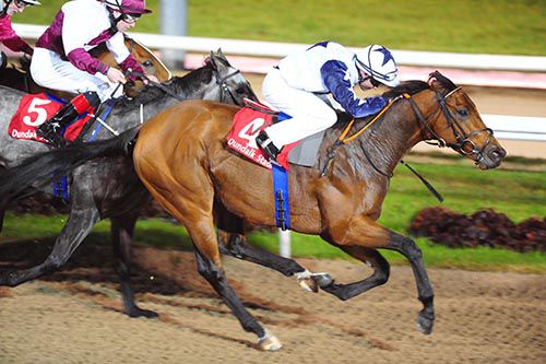 Zalty is driven out by Fergal Lynch to beat Toccata Blue