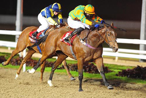 Total Reality (Joseph O'Brien) beating Settle For Red