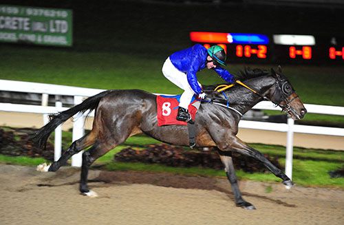 Hangar Five is comes home a clear cut winner under Danny Grant