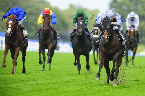 Olympic Glory storms clear for Richard Hughes