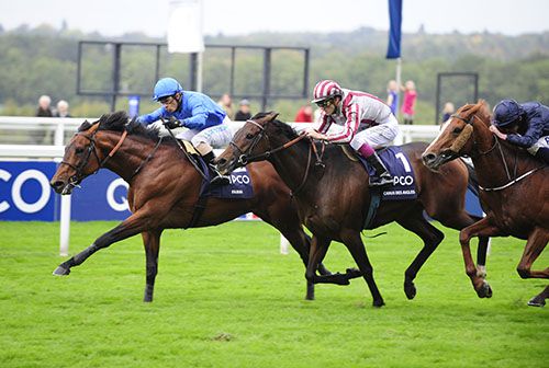 Farhh beats Cirrus Des Aigles, with Ruler Of The World in third