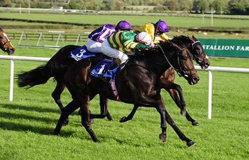Hidden Oasis, near side, delivers his challenge at Naas