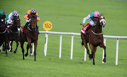 Vote Often and Pat Smullen put daylight between themselves and their rivals