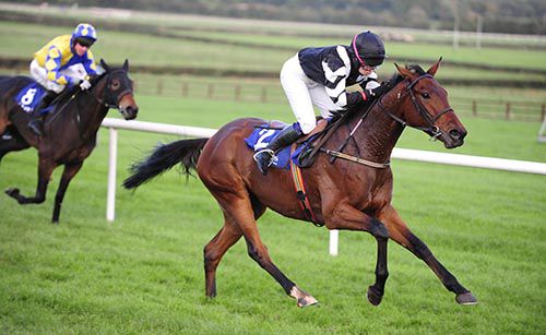 Goldboy and Fiona Mullins see off Yes Sir Brian in Naas