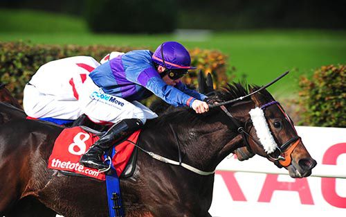 More Questions and Leigh Roche beat City Of Culture