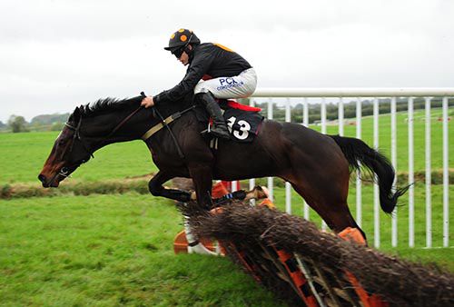 The King Of Brega in control under Robbie Colgan