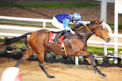 Happy Anniversary and Tom Madden 