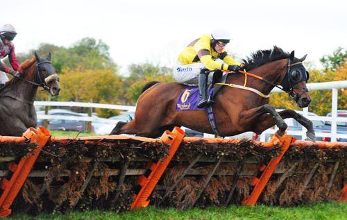 Billybuster measures the last well under Andrew McNamara at Wexford with Tipped Up Harry in behind