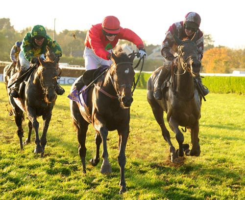 Dainty Diva beat Snatch Back and Emmy Lou in the concluding race at Wexford