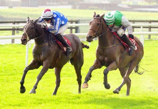 Aerlite Supreme (left) holds off the challenge of Sonny B