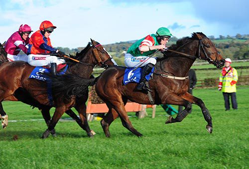 Courtncatcher comes across Prince Rudi at last