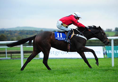 Racing Pulse in full flight in Naas