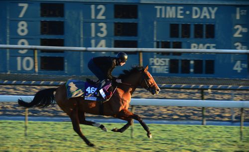 Olympic Glory pictured working at Santa Anita before the Breeders Cup last year