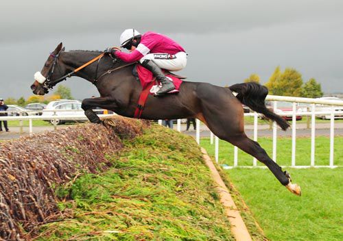 Roi Du Mee and Bryan Cooper winning the Grade 1 Jnwine.com Champion Chase