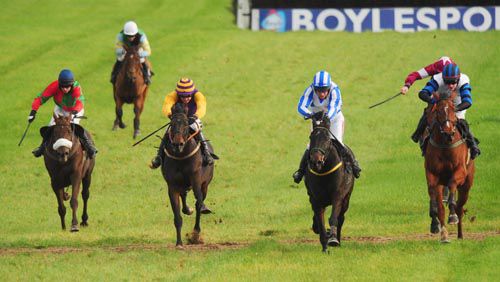 Noble Prince (purple and yellow) stays on best to beat Realt Dubh (blue and white) into second