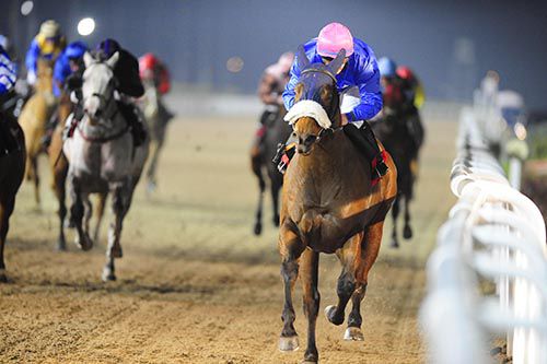 Under Review well clear in Dundalk 