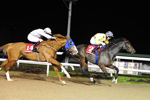 Rose Angel, right, beats fast-finishing Whitethorne Scent 