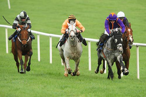 Diakali leads the field in the straight