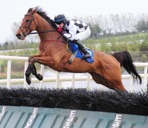 Pumbaa jumps the last under Kevin Sexton