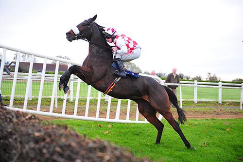 Flemenstar takes off at the last under Andrew Lynch