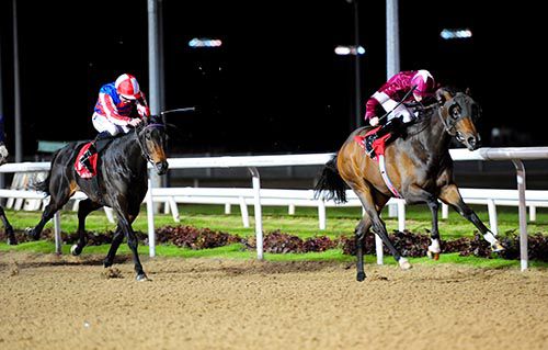 Dark Skies is driven out by Billy Lee to beat Beauty's Forte and Fergal Lynch