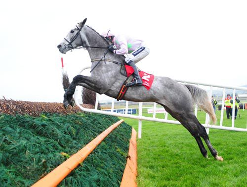 The Willie Mullins-trained Champagne Fever