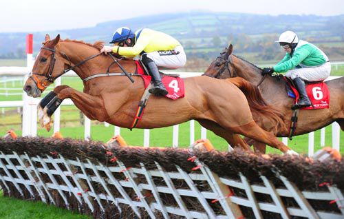 Director's Forum flies the last on his way to victory from Hop In