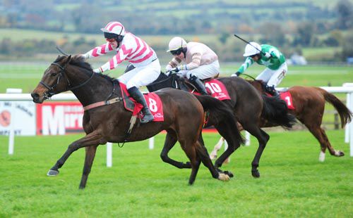 Mr Boss Man gallops on from Thornfield and Bosman Rule in the last at Punchestown