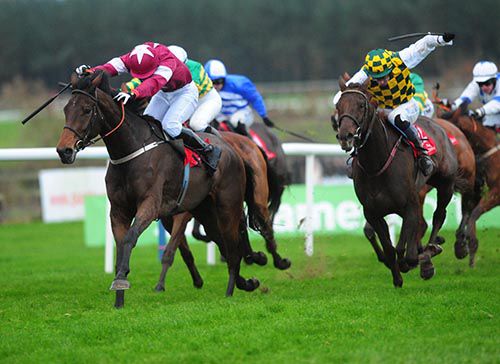 Lieutenant Colonel heads for home in Punchestown