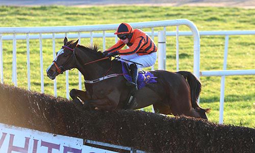 Foritsa and Ben Dalton clear the last fence 