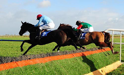 Ballyroe Rambler (blue colours) jumps past Captainofthefleet at the last
