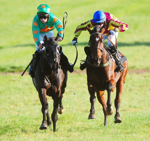 A Decent Excuse (right) is about to get the better of Baily Dusk