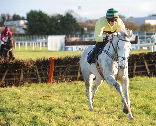 Our Katie impressed at Thurles beating Tikka Light