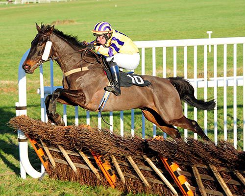 Conor Brassil and Dream Crusher clear the last in style at Thurles