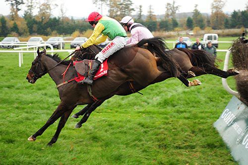 Buckers Bridge (near side) and Oscars Well jump the last together
