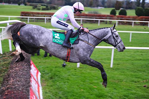 Ballycasey and Ruby Walsh were nimble over the last at Navan