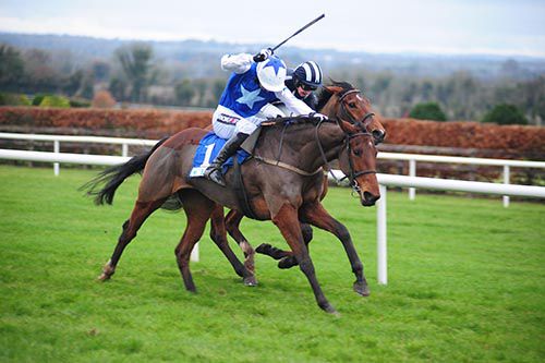 Shesafoxylady gets on top from Palm Sur in the last at Navan