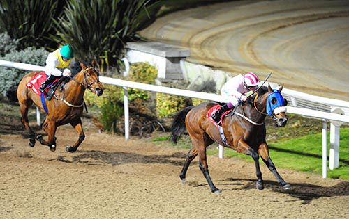 Odds-on favourite Elusive Ice is well held behind Cottrell (Chris Hayes) at Dundalk