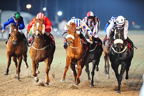Queen Of The Sand (noseband centre) just beat Golden Shoe (right) and Iron Major (cheek-pieces)