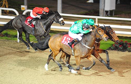 Juara (nearside, John Egan) got up to short-head Carried (Johnny Murtagh) with Timjoe back in third