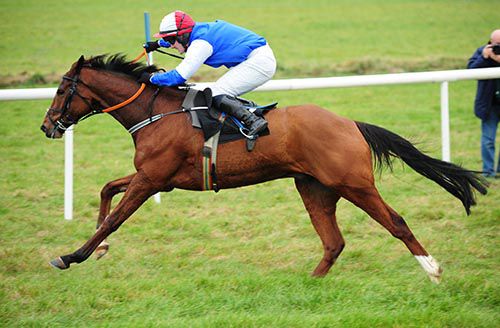 Sea Light is driven out to victory by Rob Jones