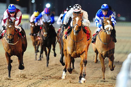 Fleet Captain beat Eljowzah (left) and Chillie Billie (noseband) at Dundalk