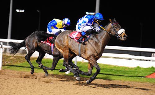 Goal beats Ned's Indian in the sixth at Dundalk