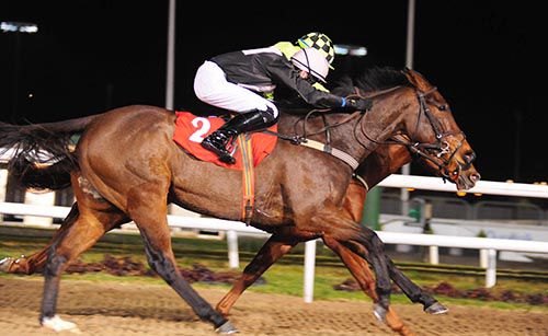 'Socks' Madden got Shake The Bucket up to beat Super Sling (almost completely hidden) in the last at Dundalk