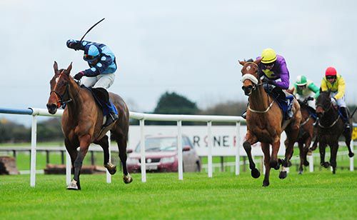 Value At Risk (Richie Kiely) keeps going to beat Windsor Park (Declan Lavery) in the last at Punchestown