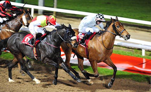 Missile Command beats Catwilldo with Like Magic back in third