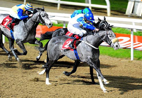 Pretty Angel beats Fight U For It and San Quentin at Dundalk