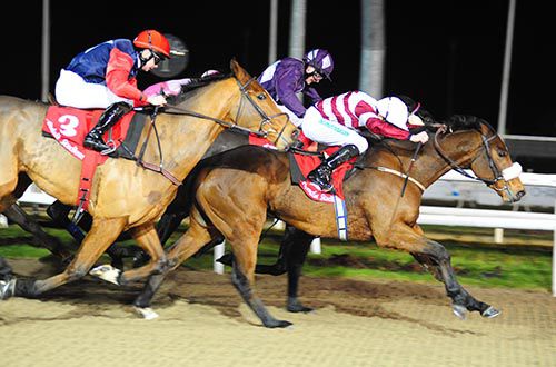 Cheers Buddy comes out best in this bunch finish at Dundalk